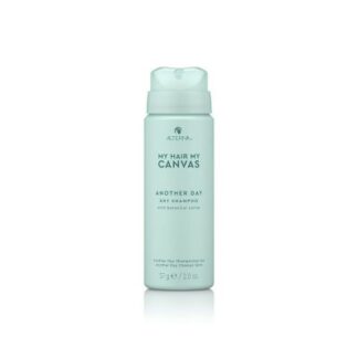 Mhmc Another Day Dry Shampoo 60ml